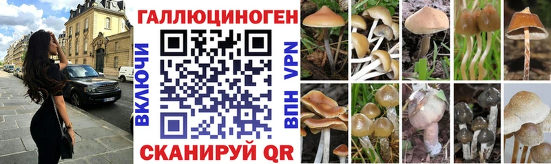 что такое   ОМГ ОМГ зеркало  Псилоцибиновые грибы Psilocybine cubensis  Коряжма 